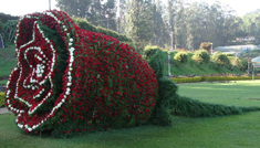 Kavya Tours & Travels Coimbatore - Tours & Travels