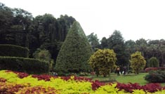 Coimbatore - Yercuad - Coimbatore