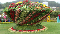 Coimbatore - Ooty - Coimbatore