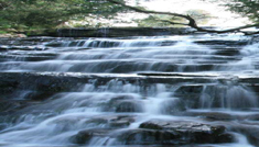 Kavya Tours & Travels Coimbatore - Tours & Travels