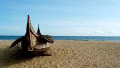 Kavya Tours & Travels Coimbatore - Tours & Travels