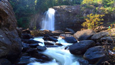 Coimbatore - Wayanad - Coimbatore