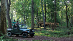 Coimbatore - Wayanad - Coimbatore