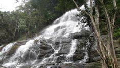 Kavya Tours & Travels Coimbatore - Tours & Travels