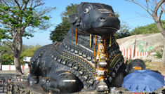 Coimbatore - Ooty - Mysore - Coimbatore