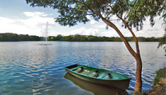 Coimbatore - Ooty - Mysore - Coimbatore