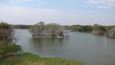 Coimbatore - Mysore - Coorg - Coimbatore