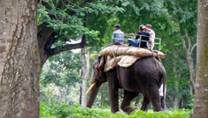 Coimbatore - Mysore - Coorg - Coimbatore