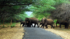 Kavya Tours & Travels Coimbatore - Tours & Travels