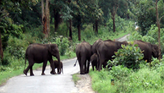 Coimbatore - Ooty - Munnar - Thekkady - Alleppey - Coimbatore