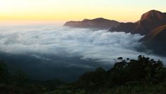 Coimbatore - Ooty - Munnar - Thekkady - Alleppey - Coimbatore