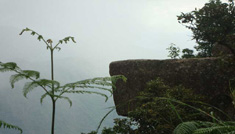 Coimbatore - Ooty - Kodaikanal - Munnar - Thekkdy - Alleppey - Coimbatore