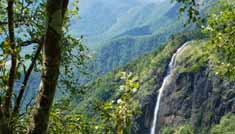 Kavya Tours & Travels Coimbatore - Tours & Travels