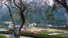 Kavya Tours & Travels Coimbatore - Tours & Travels