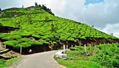 Coimbatore - Munnar - Thekkady - Kovalam - Trivandrum - Coimbatore