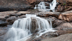 Coimbatore - Munnar - Thekkady - Alleppey - Cochin - Coimbatore