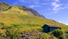Coimbatore - Munnar - Thekkady - Alleppey - Cochin - Coimbatore