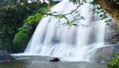 Kavya Tours & Travels Coimbatore - Tours & Travels