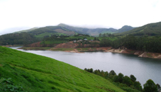 Coimbatore - Munnar - Ooty - Mysore