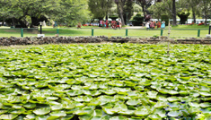 Kavya Tours & Travels Coimbatore - Tours & Travels