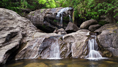 Mysore - Ooty - Munnar - Coimbatore