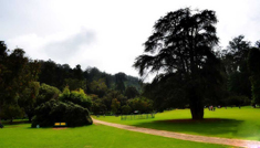 Coimbatore - Ooty - Munnar - Coimbatore