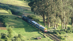 Coimbatore - Ooty - Mysore - Coimbatore