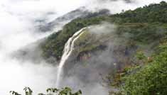 Kavya Tours & Travels Coimbatore - Tours & Travels