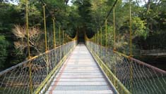 Coimbatore - Coorg - Mysore - Coimbatore