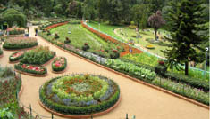 Kavya Tours & Travels Coimbatore - Tours & Travels