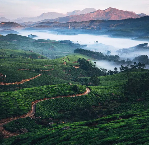 Kavya Tours & Travels Coimbatore - Tours & Travels