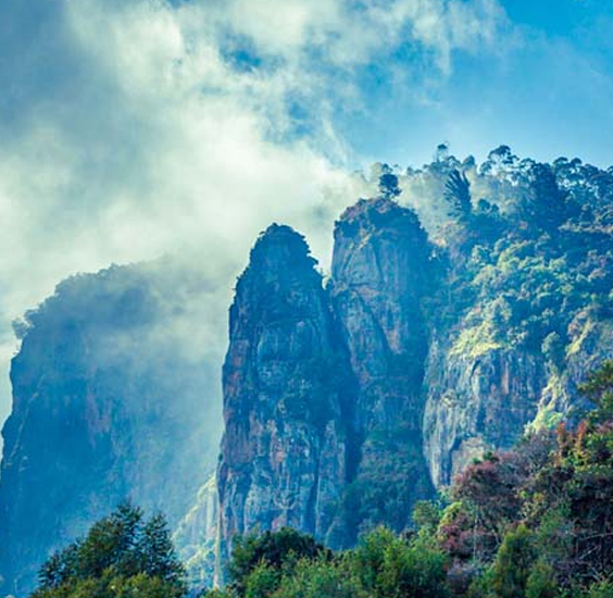 Kavya Tours & Travels Coimbatore - Tours & Travels