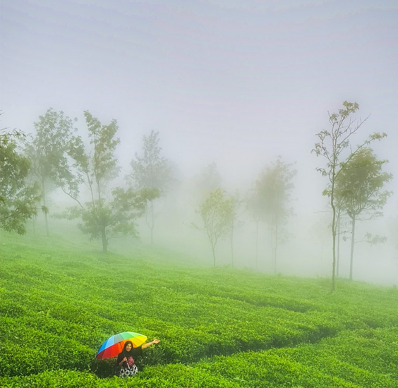 Kavya Tours & Travels Coimbatore - Tours & Travels