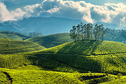 Kavya Tours & Travels Coimbatore - Tours & Travels