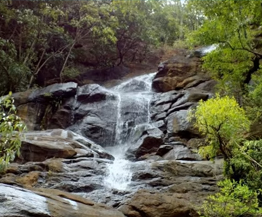 Kavya Tours & Travels Coimbatore - Tours & Travels
